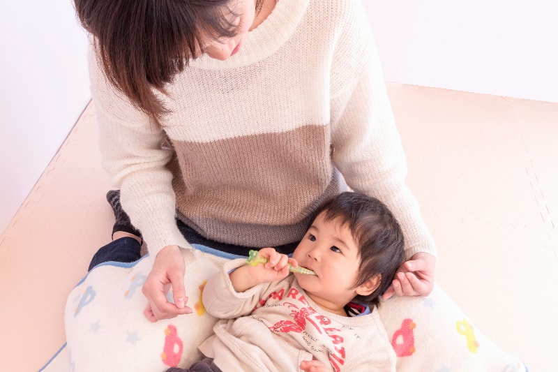 歯をしっかりみがいてあげる