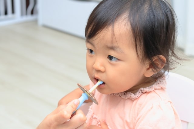 小さなうちから歯ブラシに慣れましょう